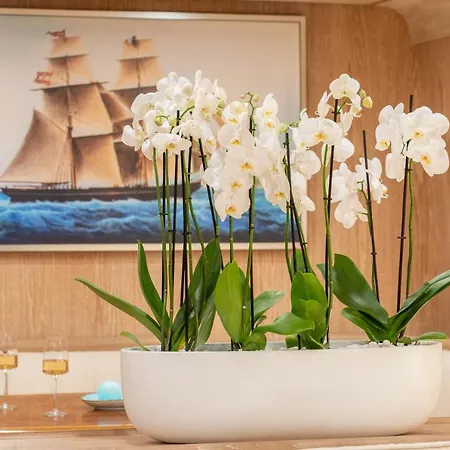 M/y Opera Πλωτό κατάλυμα Σάμη